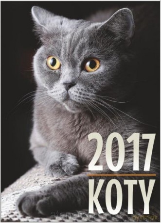 Kalendarz 2017 Ścienny - Koty [KALENDARZ]