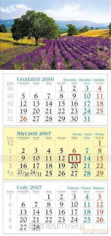 Kalendarz 2017 Trójdzielny. Drzewo [KALENDARZ]
