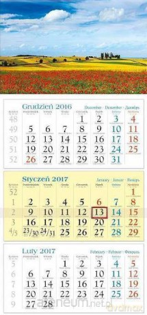 Kalendarz 2017 Trójdzielny. Plener [KALENDARZ]