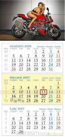 Kalendarz 2017 Trójdzielny. Sara [KALENDARZ]