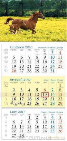 Kalendarz 2017 Trójdzielny. Źrebak [KALENDARZ]