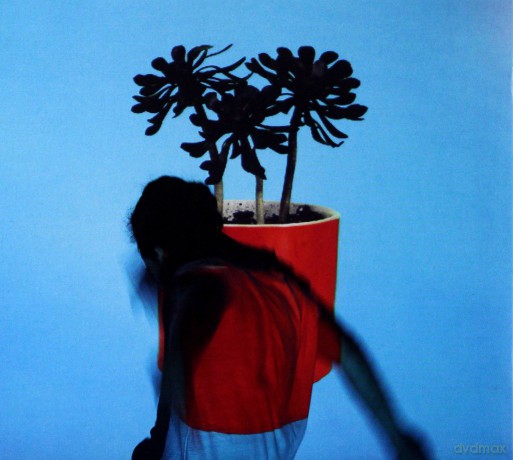 Local Natives: Sunlit Youth (digipack) [CD]