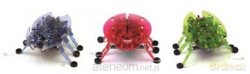 Hexbug Żuczek