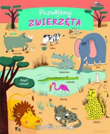 Poznajemy zwierzęta - Magali Clavelet [KSIĄŻKA]