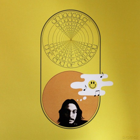 Drugdealer: The End Of Comedy [Winyl]