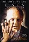 Kraina wiecznego szczęścia [DVD]