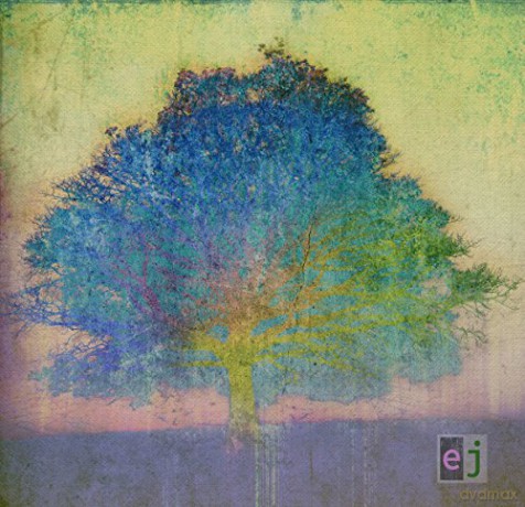 Eric Johnson: Ej [CD]