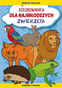 Kolorowanka dla najmłodszych. Zwierzęta - Patrycja Nowacka [KSIĄŻKA]