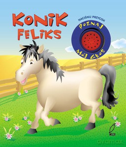 Konik Feliks - Liliana Fabisińska [KSIĄŻKA]