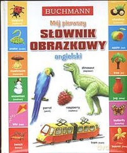 Mój pierwszy słownik obrazkowy angielski - Agata Jeremczuk [KSIĄŻKA]