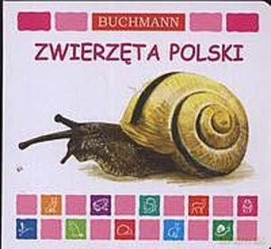 Zwierzęta polski - Agata Szrek [KSIĄŻKA]
