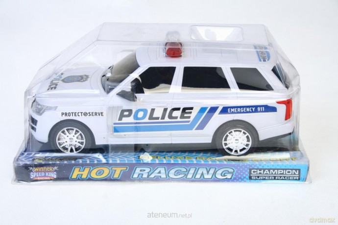 Auto policja