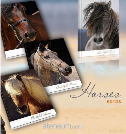Brulion A5/96K linia OT 1088 Horses (5 szt)
