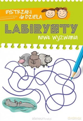 Bystrzaki do dzieła. Labirynty. Nowe wyzwania [KSIĄŻKA]