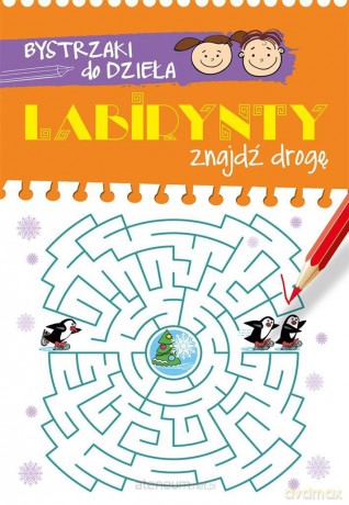 Bystrzaki do dzieła. Labirynty. Znajdź drogę [KSIĄŻKA]