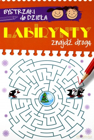 Bystrzaki do dzieła. Labirynty. Znajdź drogę [KSIĄŻKA]