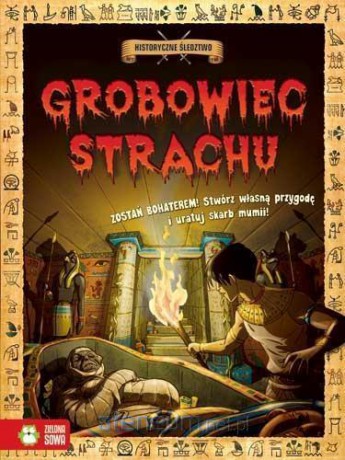 Historyczne śledztwo. Grobowiec strachu [KSIĄŻKA]