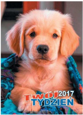 Kalendarz 2017 Twój Tydzień B7 [KALENDARZ]
