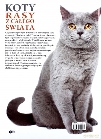 Koty. Rasy z całego świata [KSIĄŻKA]