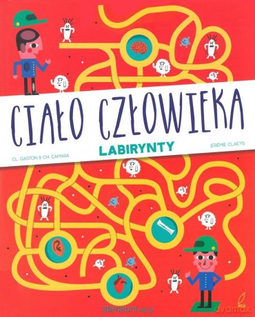 Labirynty. Ciało człowieka [KSIĄŻKA]
