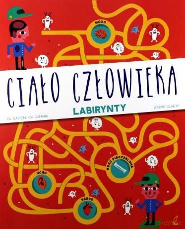 Labirynty. Ciało człowieka [KSIĄŻKA]