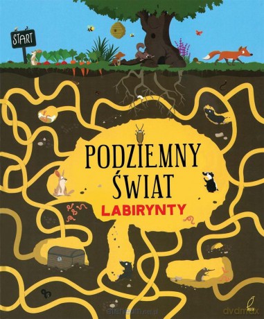 Labirynty. Podziemny świat [KSIĄŻKA]