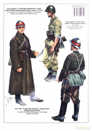 Manewry wołyński. Tank Power vol. CXLVI 431 - Janusz Ledwoch [KSIĄŻKA]