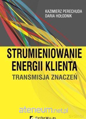 Strumieniowanie energii klienta - Kazimierz Perechuda, Daria Hołodnik [KSIĄŻKA]