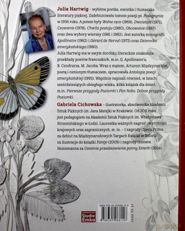 Zguba Michałka - Julia Hartwig [KSIĄŻKA]
