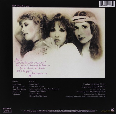 Stevie Nicks: The Wild Heart [Winyl]