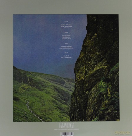Black Mountain: IV [2xWinyl]
