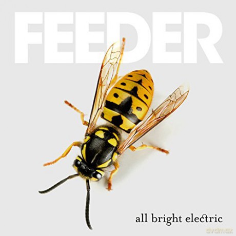 Feeder: All Bright Electric [CD]