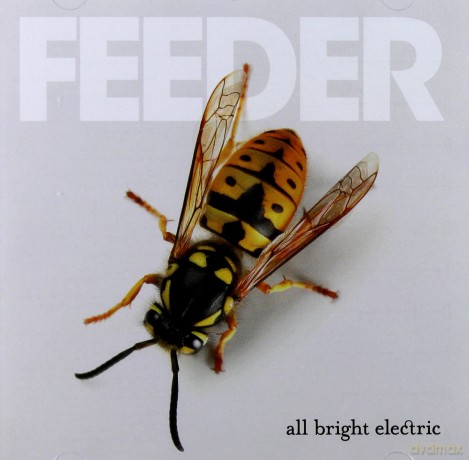Feeder: All Bright Electric [CD]