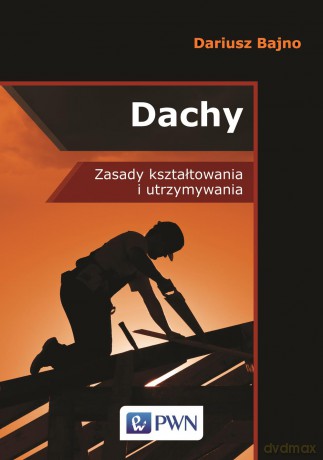 Dachy - Dariusz Stanisław Bajno [KSIĄŻKA]