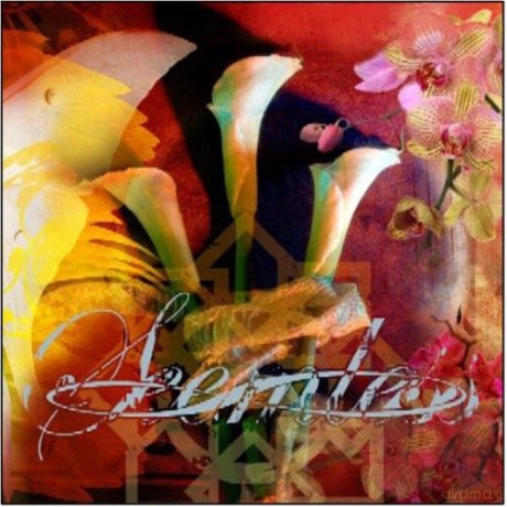 Seemless: What Have We Become [CD]