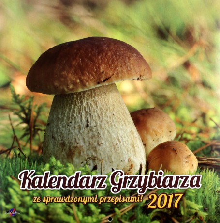 Kalendarz 2017 grzybiarza z przepisami kad6 [KALENDARZ]