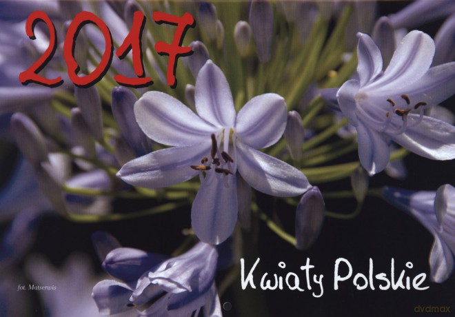 Kalendarz 2017 kwiaty polskie [KALENDARZ]