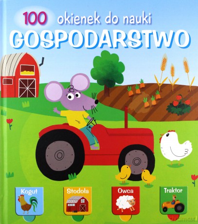 100 okienek do nauki. Gospodarstwo [KSIĄŻKA]