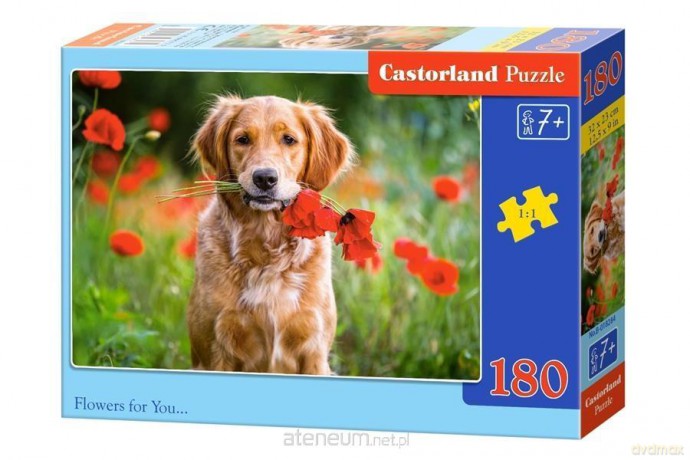 CASTORLAND 180 el. Flowers for You [PUZZLE]