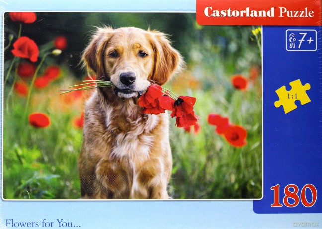 CASTORLAND 180 el. Flowers for You [PUZZLE]
