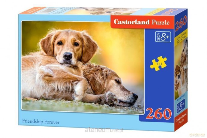 CASTORLAND 260 el. Friendship Forever [PUZZLE]
