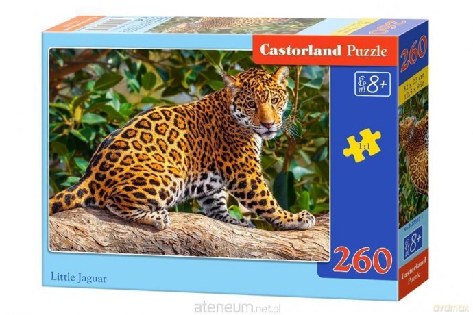 CASTORLAND 260 el. Little Jaguar [PUZZLE]