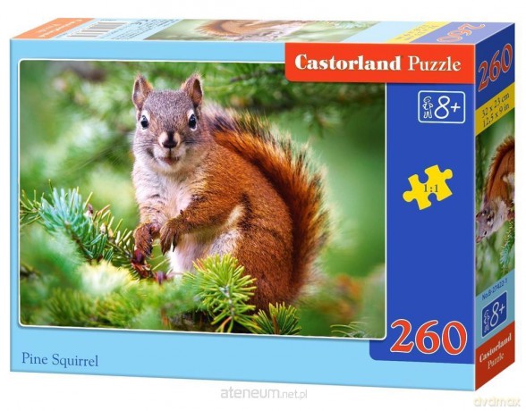 CASTORLAND 260 el. Pine Squirrel [PUZZLE]