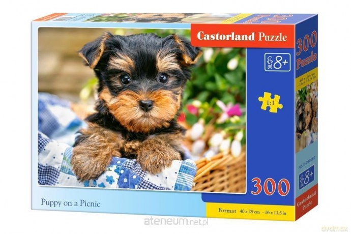 CASTORLAND 300 el. Puppy on a Picnic [PUZZLE]