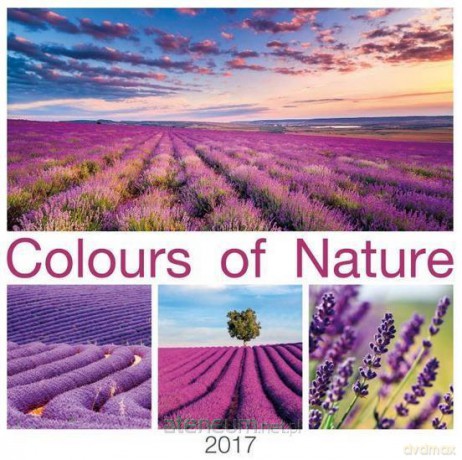 Kalendarz 2017 Wieloplanszowy Colours of nature [KALENDARZ]