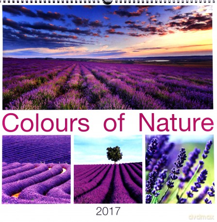 Kalendarz 2017 Wieloplanszowy Colours of nature [KALENDARZ]