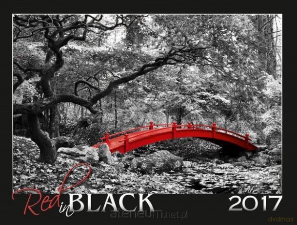 Kalendarz 2017 Wieloplanszowy Red in Black [KALENDARZ]