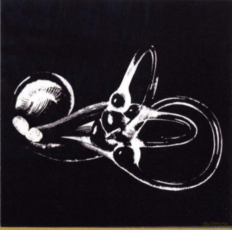 Skeleton Key: Obitainium [CD]