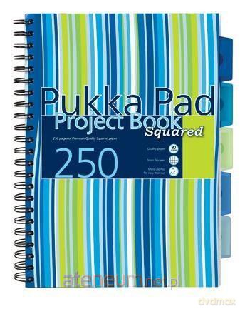 Project Book Stripe A4/125K kratka (3 szt)