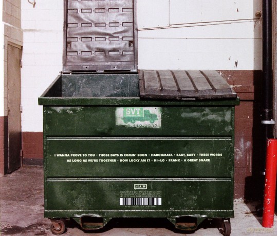 The Lemon Twigs: Do Hollywood [CD]